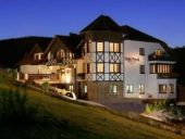Hotel*** Dziki Potok