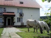 Agroturystyka Studzienno