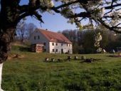 Agroturystyka ZACISZE