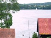 DOMEK PIONAT
